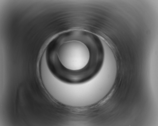 X0000088891196200706151824