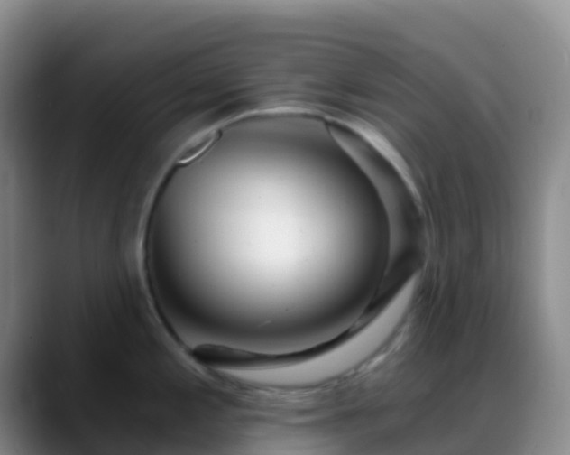 X0000088891197200706151824