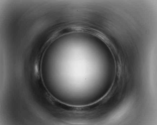 X0000088891198200706151824