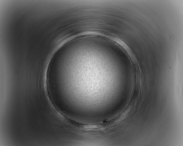 X0000088891199200706151824