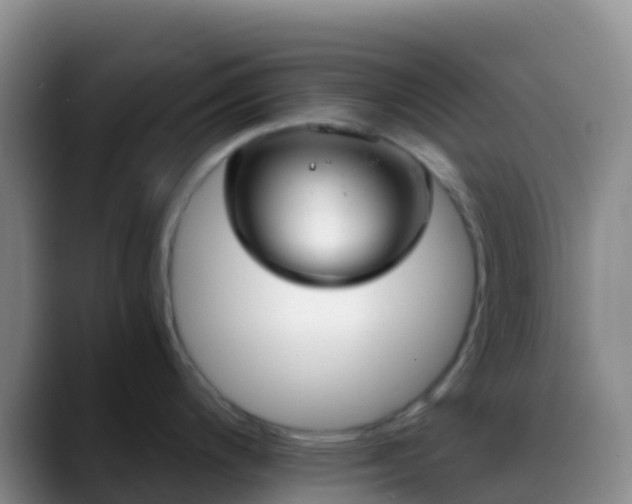 X0000088891200200706151824