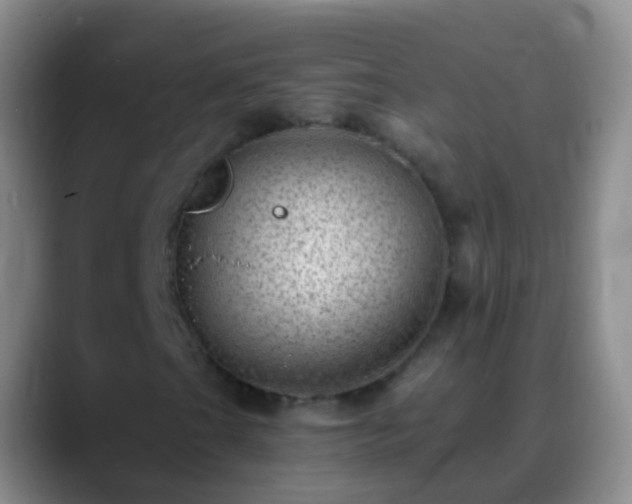 X0000088891201200706151823