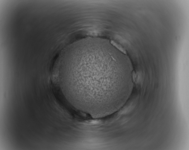 X0000088891202200706151823