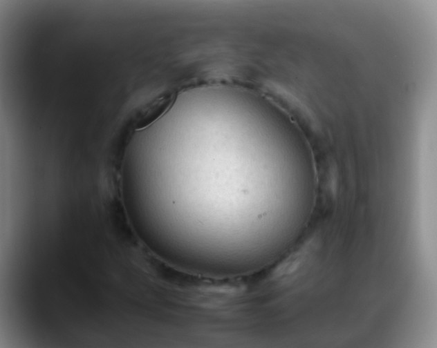 X0000088891207200706151823