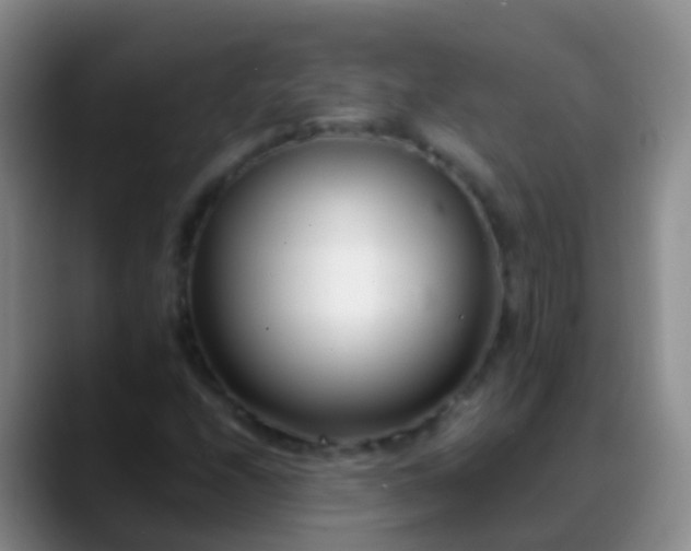 X0000088891208200706151823