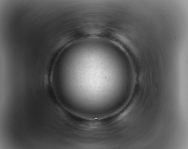 X0000088891209200706151823