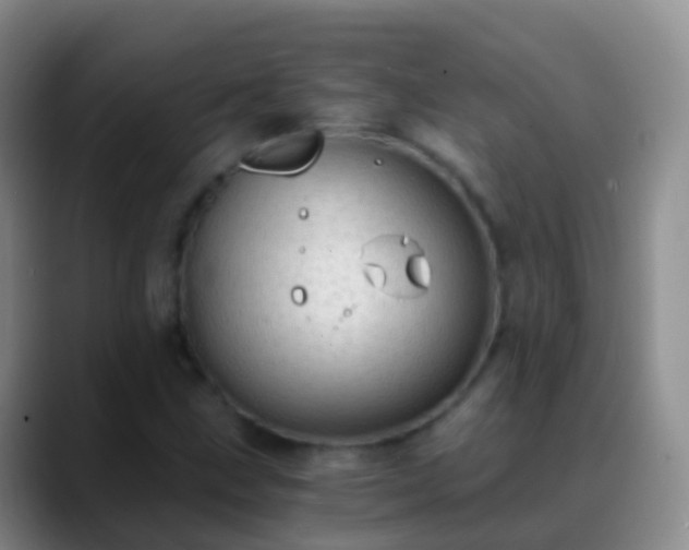 X0000088891211200706151823