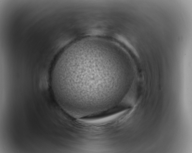 X0000088891213200706151823