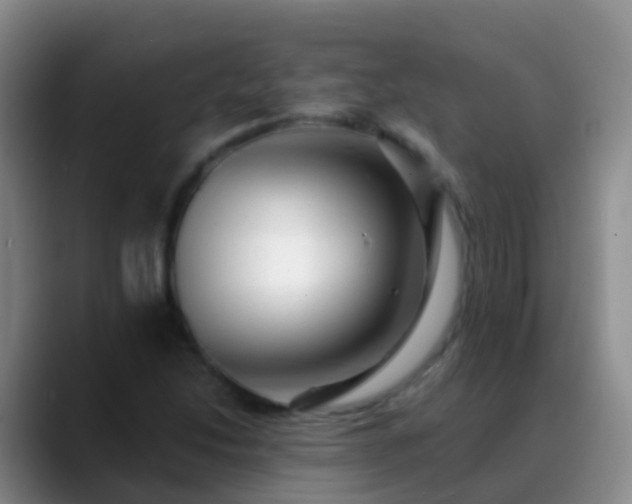 X0000088891214200706151823