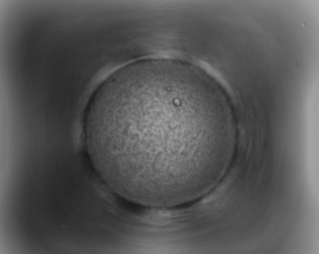 X0000088891215200706151823