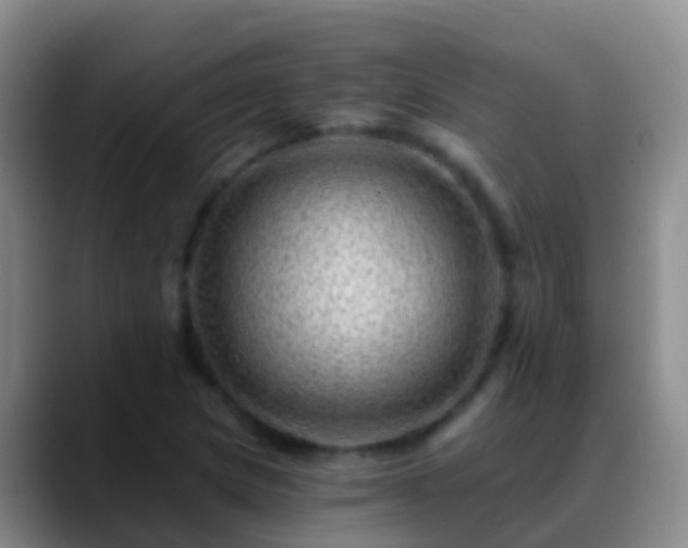 X0000088891217200706151823