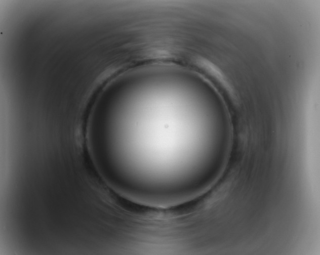 X0000088891218200706151823