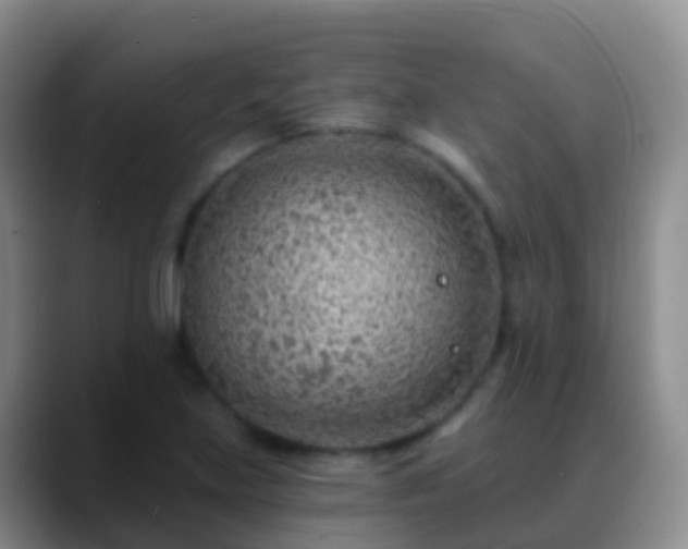 X0000088891219200706151823