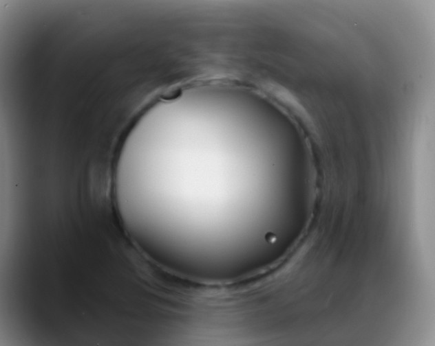 X0000088891220200706151823