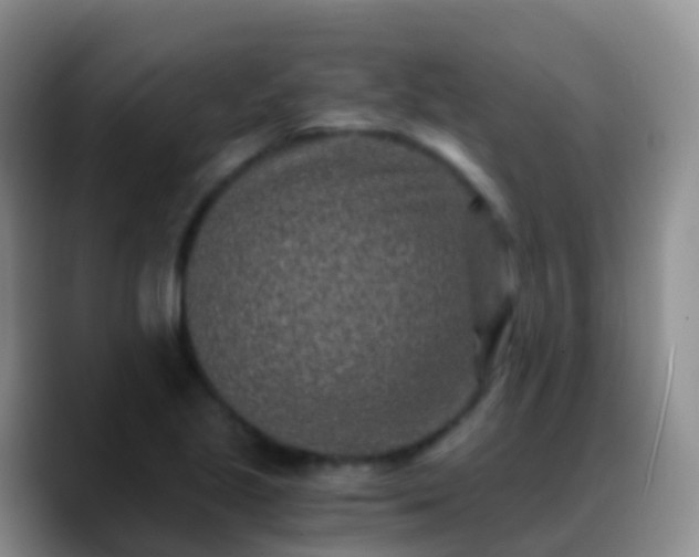 X0000088891221200706151824