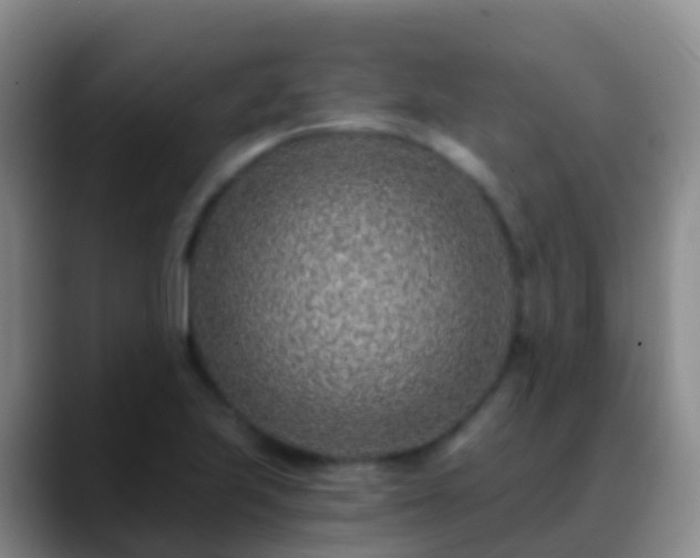 X0000088891223200706151824