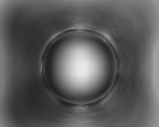 X0000088891224200706151824