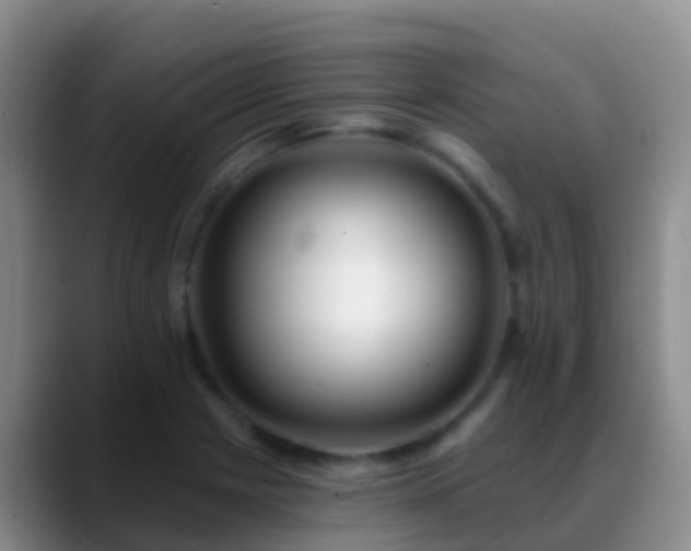 X0000088891225200706151824