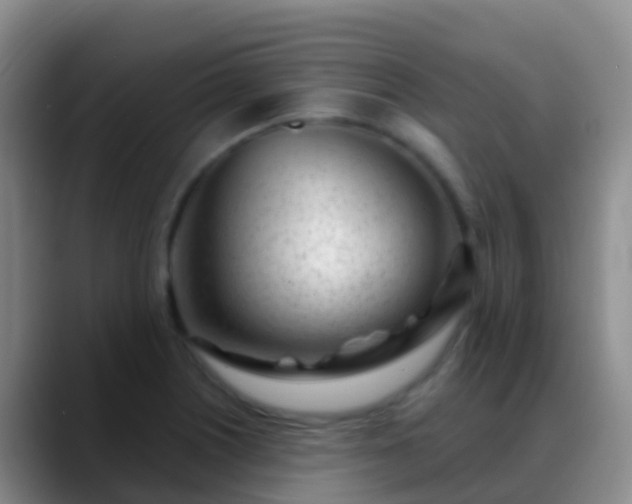 X0000088891226200706151824