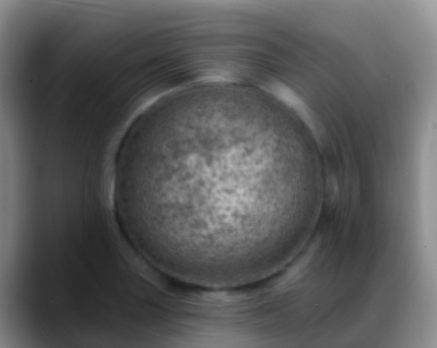 X0000088891227200706151824