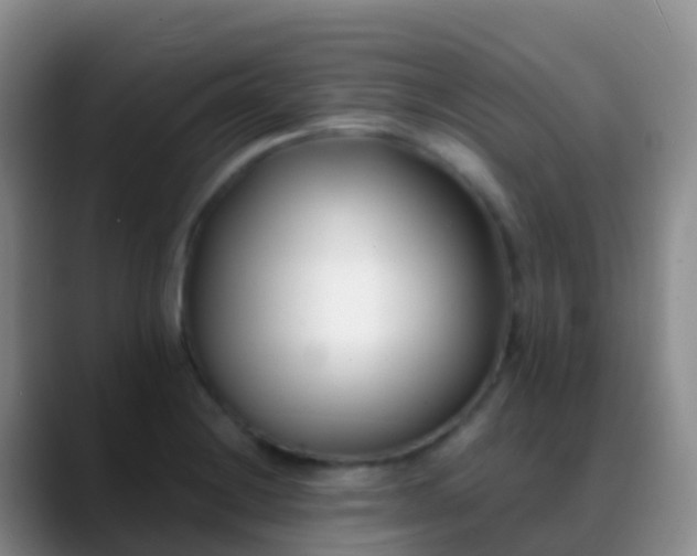 X0000088891228200706151824