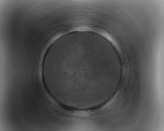 X0000088891229200706151824