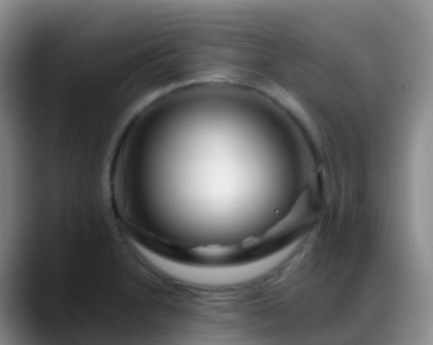 X0000088891230200706151824