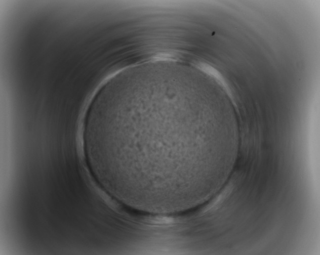 X0000088891235200706151824