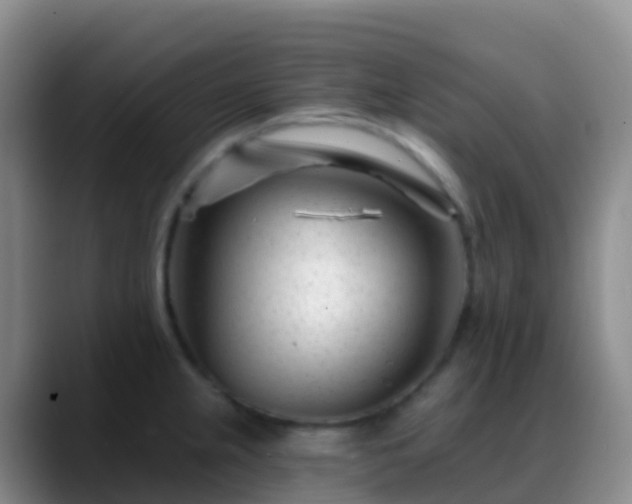 X0000088891237200706151824