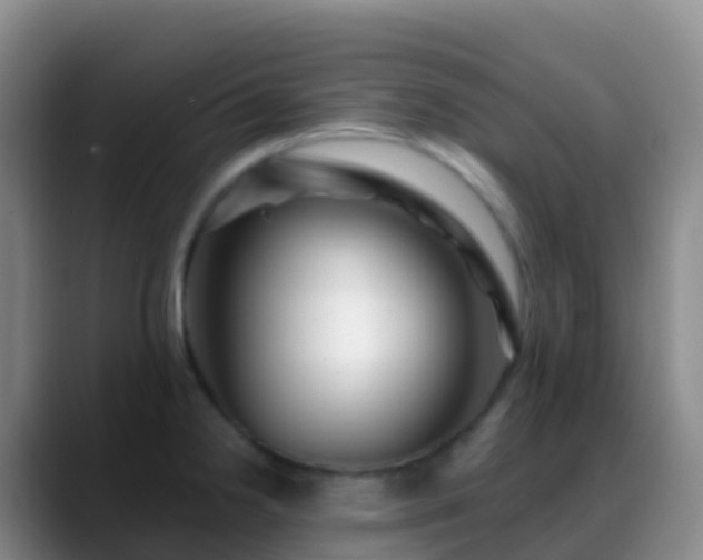 X0000088891238200706151824