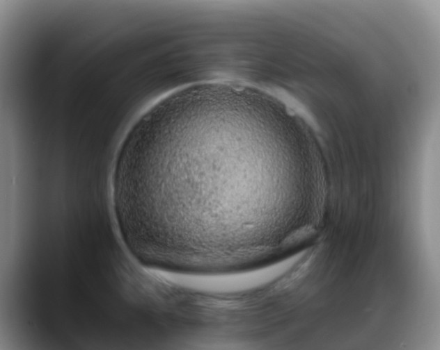 X0000088891239200706151824