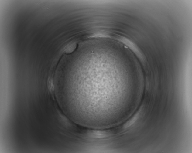 X0000088891241200706151824