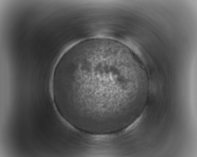 X0000088891247200706151824