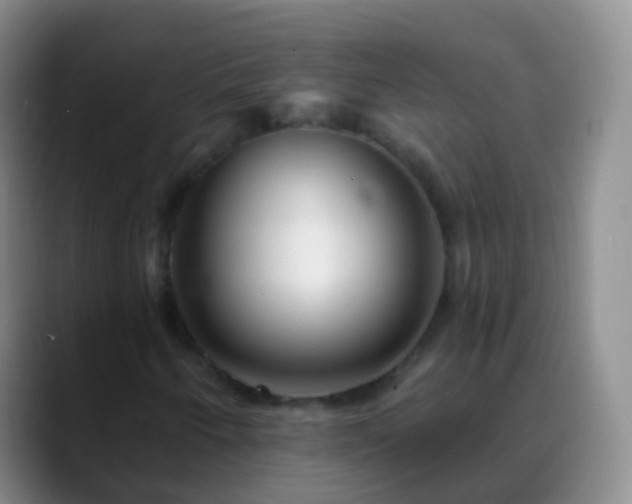 X0000088891250200706151823