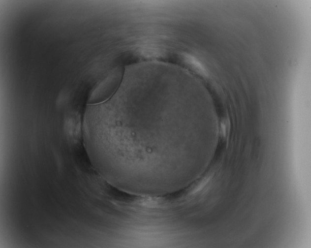 X0000088891251200706151823