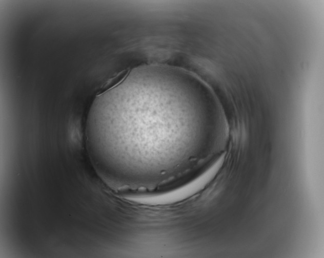 X0000088891252200706151823