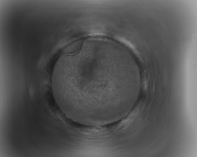 X0000088891255200706151823