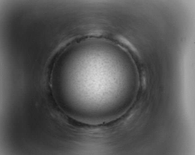 X0000088891256200706151823