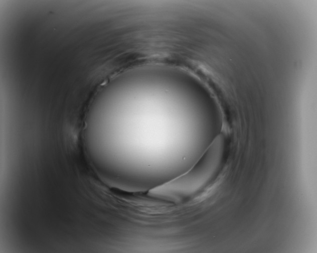 X0000088891257200706151823