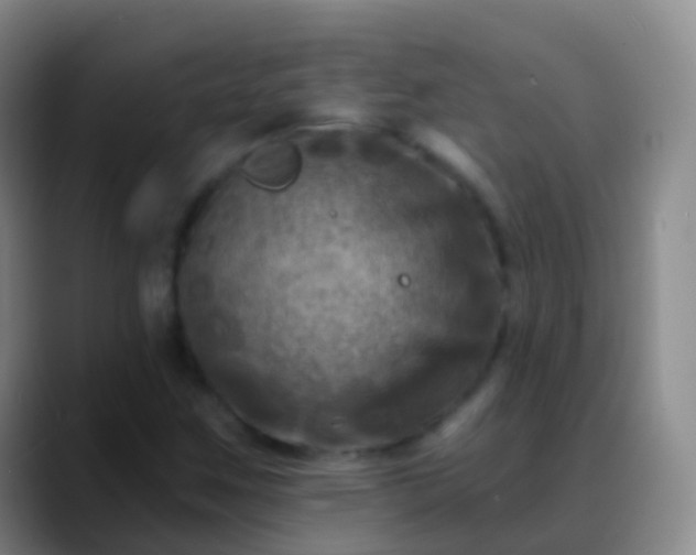 X0000088891259200706151823