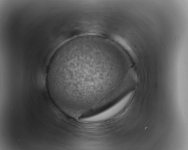 X0000088891260200706151823