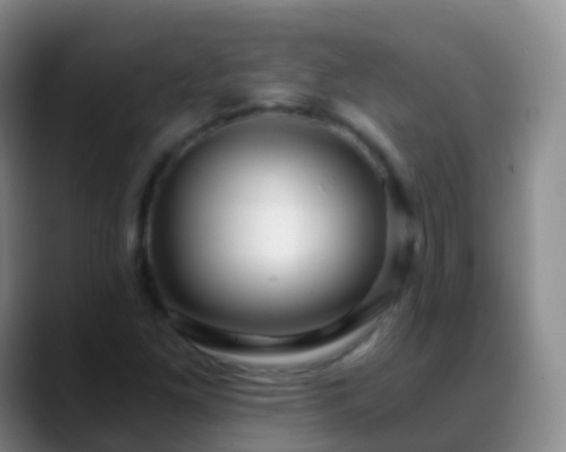 X0000088891261200706151823