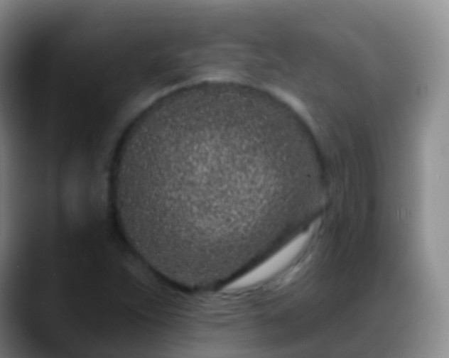 X0000088891263200706151823