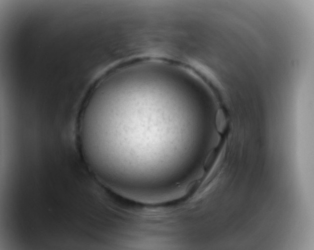 X0000088891264200706151823