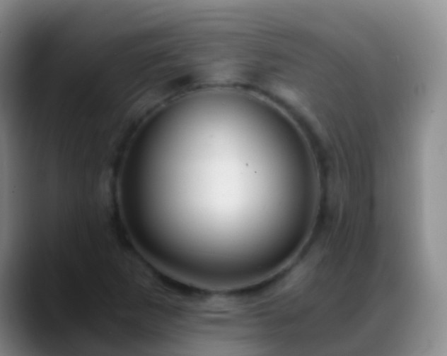 X0000088891265200706151823