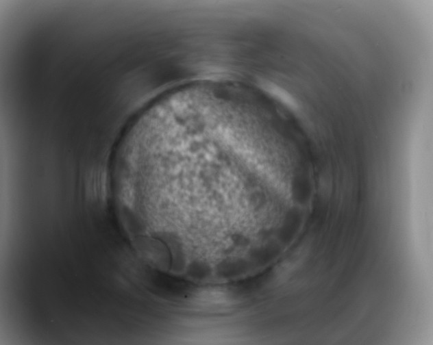 X0000088891267200706151823