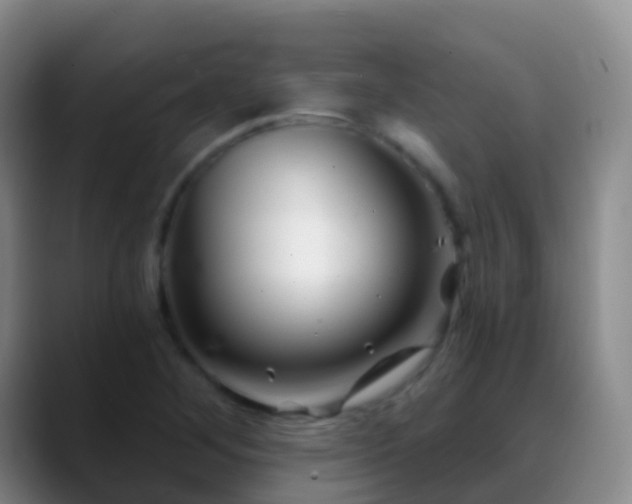 X0000088891268200706151823