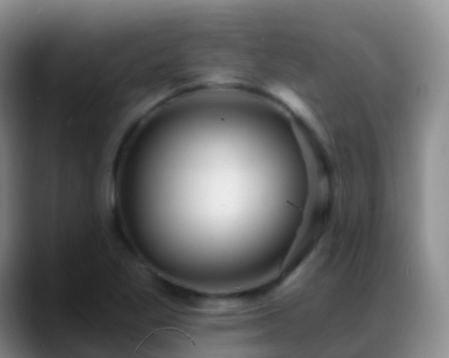 X0000088891269200706151823