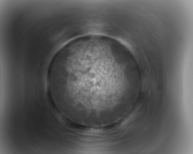 X0000088891271200706151823