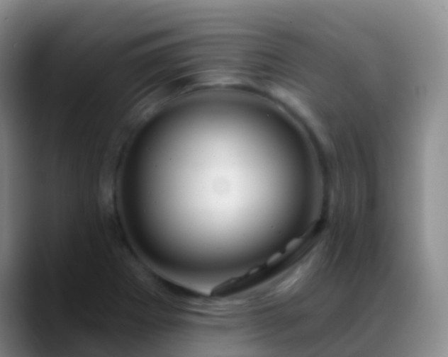 X0000088891273200706151823